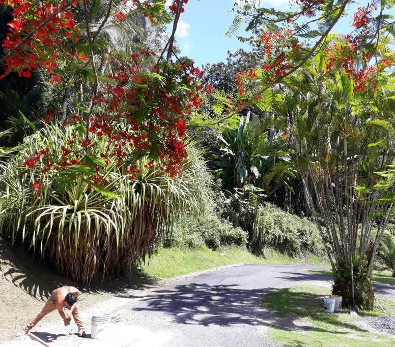 Appartamento Swim & Paint Art Retreat Las Piedras Esterno foto