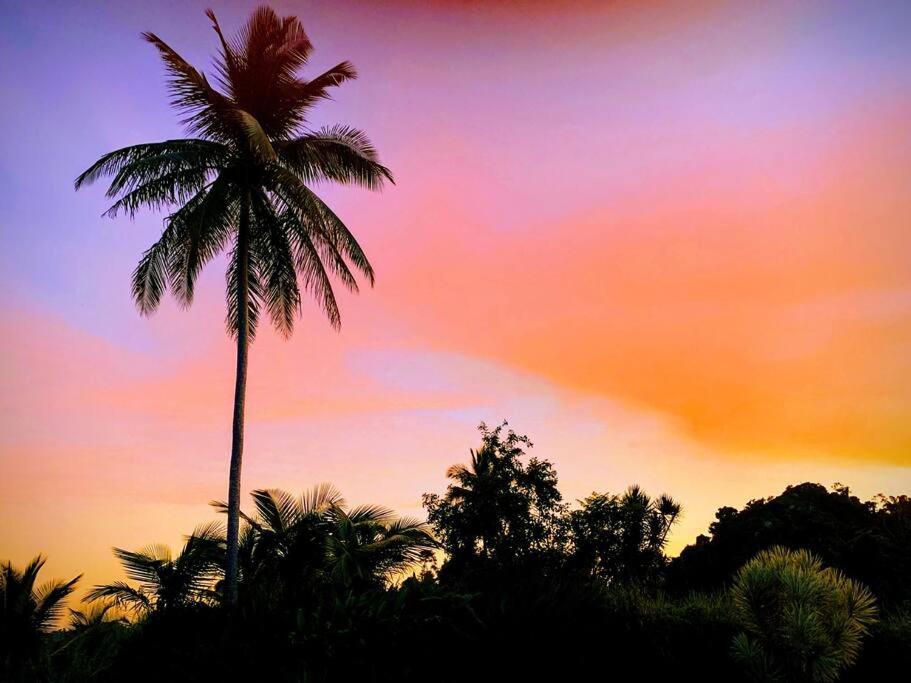 Appartamento Swim & Paint Art Retreat Las Piedras Esterno foto